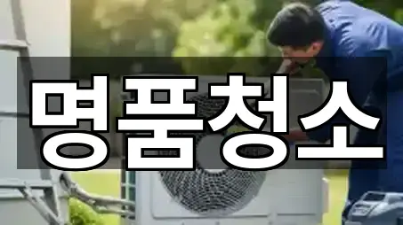 실시간 업데이트: 전주시 완산구 다가동4가 청소 5곳