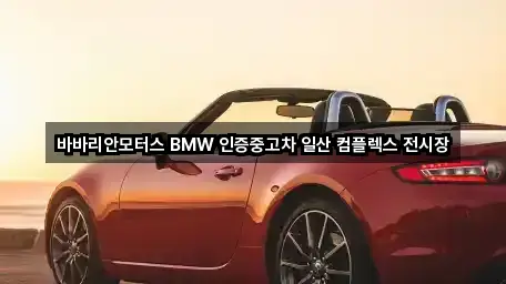 경기도 고양시 일산동구 식사동 중고차 방문 정보 4곳