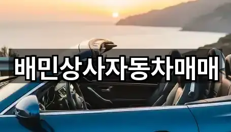 배민상사자동차매매