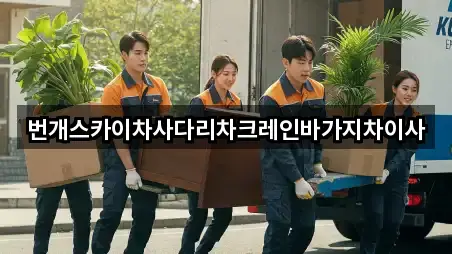 번개스카이차사다리차크레인바가지차이사