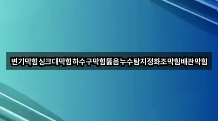 변기막힘싱크대막힘하수구막힘뚫음누수탐지정화조막힘배관막힘