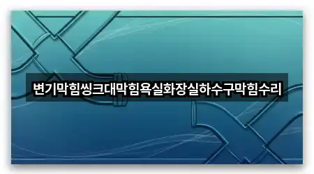 변기막힘씽크대막힘욕실화장실하수구막힘수리