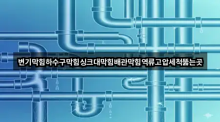변기막힘하수구막힘싱크대막힘배관막힘역류고압세척뚫는곳