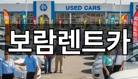 충북 충주시 용탄동렌트카 간편 조회 4곳