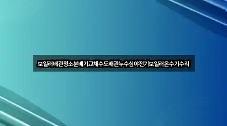 보일러배관청소분배기교체수도배관누수심야전기보일러온수기수리