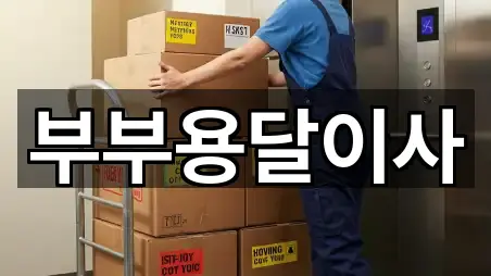 강원 원주 봉산동 용달이사 빠른 비교 5곳