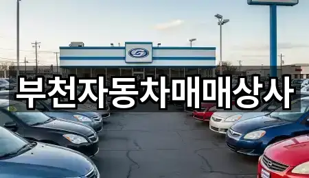 인천광역시 항동6가 중고차 빠른 조회 4곳
