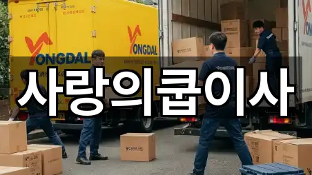 울산 중구 성안동 포장이사 5곳 최신 위치