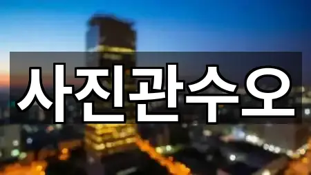 대전 동구 신안동 웨딩스냅 4곳 지도 이동