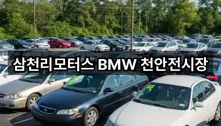 천안시 동남구 목천읍 자동차전시장 5곳 위치 한눈정리