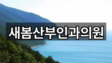 유성구 송강동 산부인과 비교 정리 4곳