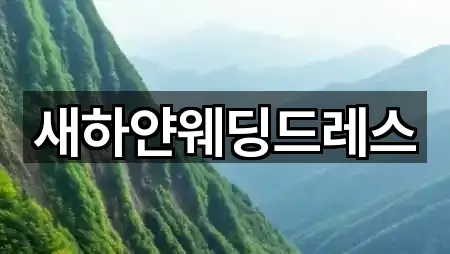 콜 한 번에: 경기도 안성시 봉산동 웨딩드레스 1곳