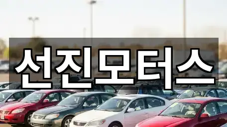 경기 양주 만송동 중고차 지도 체크 5곳