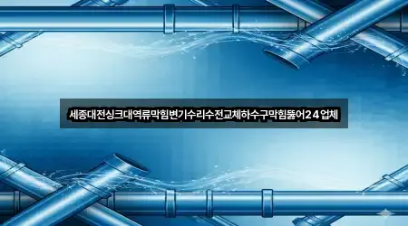 세종대전싱크대역류막힘변기수리수전교체하수구막힘뚫어24업체