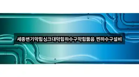 세종변기막힘싱크대막힘하수구막힘뚫음 찐하수구설비