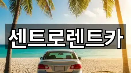 용인시 수지구 신봉동 렌트카 5곳 위치만 보기