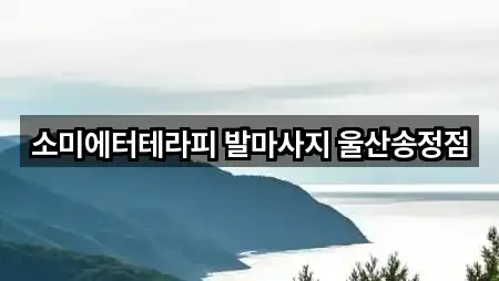 주소로 GO: 울산 북구 송정동 마사지 5곳