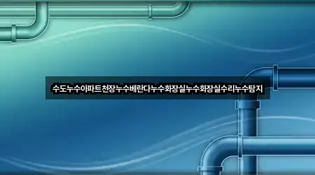 전북특별자치도 김제시 광활면 누수탐지 상담 가능 5곳