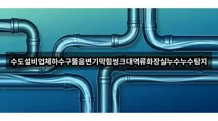 수도설비업체하수구뚫음변기막힘씽크대역류화장실누수누수탐지