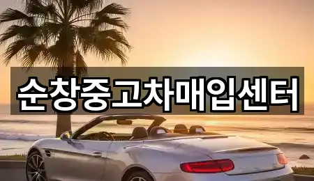 실시간 전북 순창읍 중고차 5곳