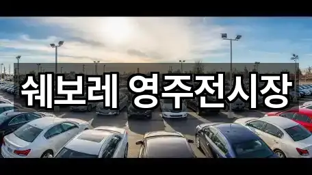 경상북도 영주시 휴천동 자동차전시장 방문 많은 1곳