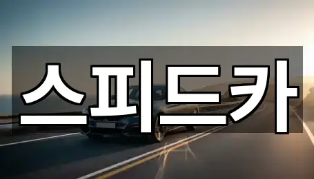 스피드카