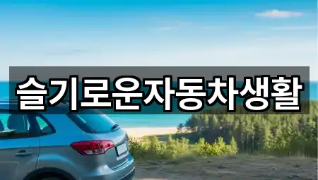 슬기로운자동차생활