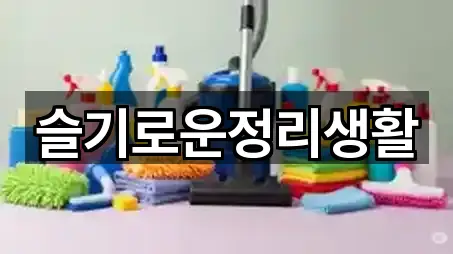 슬기로운정리생활