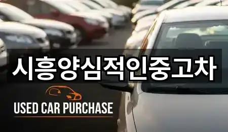 시흥양심적인중고차