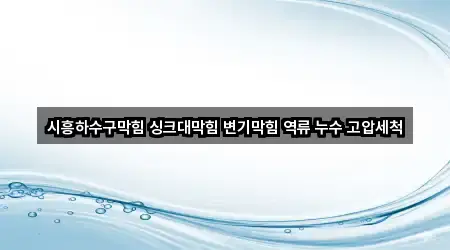 포동 싱크대막힘 원스톱 보기 5곳