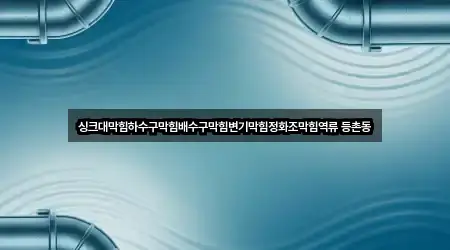 싱크대막힘하수구막힘배수구막힘변기막힘정화조막힘역류 등촌동