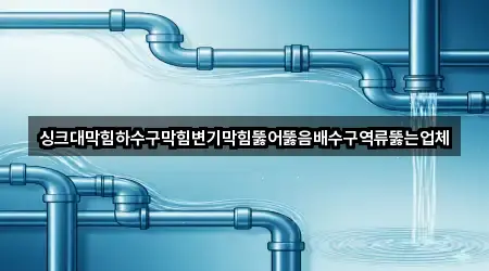 싱크대막힘하수구막힘변기막힘뚫어뚫음배수구역류뚫는업체