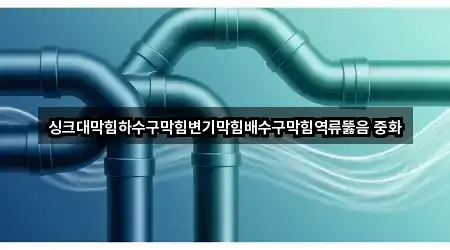 싱크대막힘하수구막힘변기막힘배수구막힘역류뚫음 중화