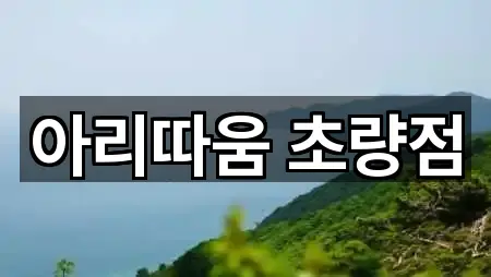 아리따움 초량점