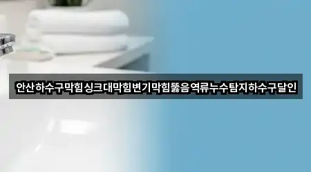 안산하수구막힘싱크대막힘변기막힘뚫음역류누수탐지하수구달인
