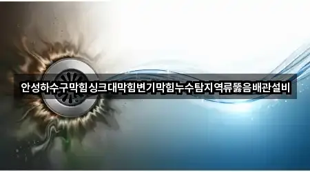 안성하수구막힘싱크대막힘변기막힘누수탐지역류뚫음배관설비