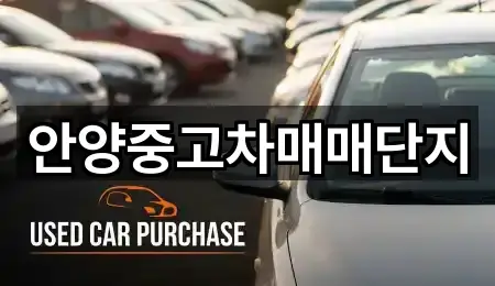 근처 추천: 안양시 관양동 중고차 4곳