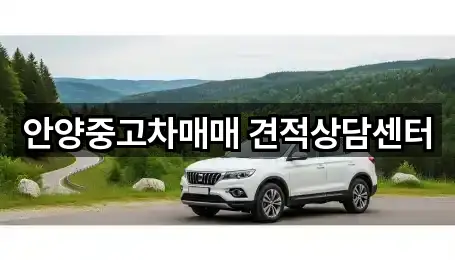 경기 안양시 만안구 석수동 중고차 5곳 위치 업데이트됨