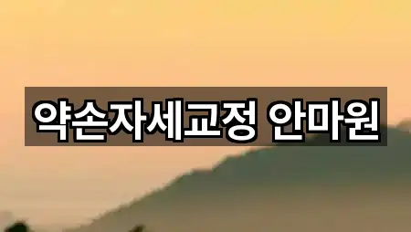 약손자세교정 안마원