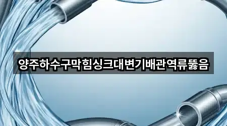 양주하수구막힘싱크대변기배관역류뚫음