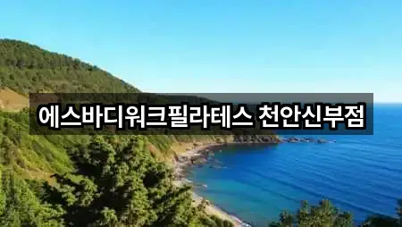 천안 동남구 문화동 필라테스 5곳 지도 바로가기