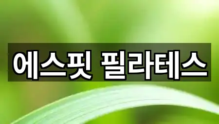 에스핏 필라테스