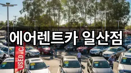 일산동구 정발산동 렌트카 영업정보 5곳