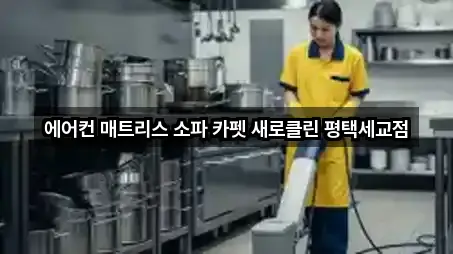 에어컨 매트리스 소파 카펫 새로클린 평택세교점