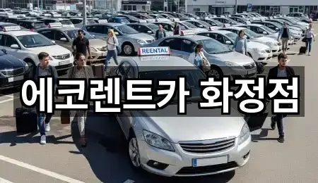 4곳 광주광역시 화정동 장기렌트카 거리순