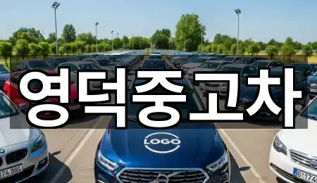 경상북도 지품면 중고차 5곳 — 지도/주소