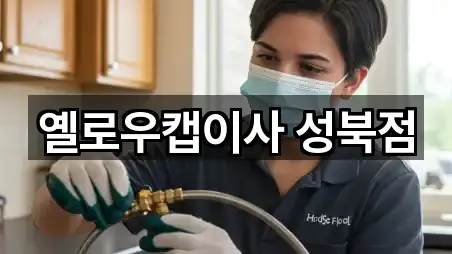 옐로우캡이사 성북점