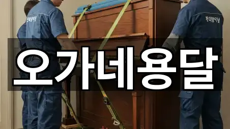 계룡시 신도안면 이사 5곳 — 지도/주소