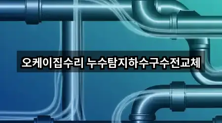 오케이집수리 누수탐지하수구수전교체