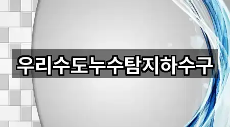 우리수도누수탐지하수구